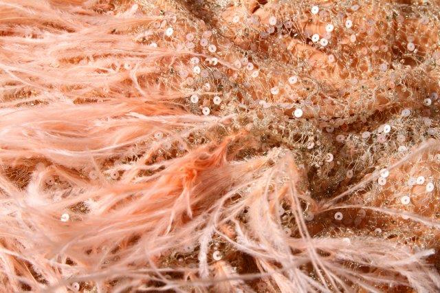 Ref 1358 dentelle brodee de paillette rose camee avec plumes dans la lisiere